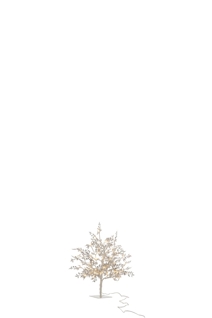 Arbre Blanc Brillo