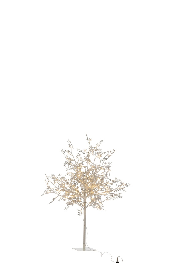 Arbre Blanc Brillo
