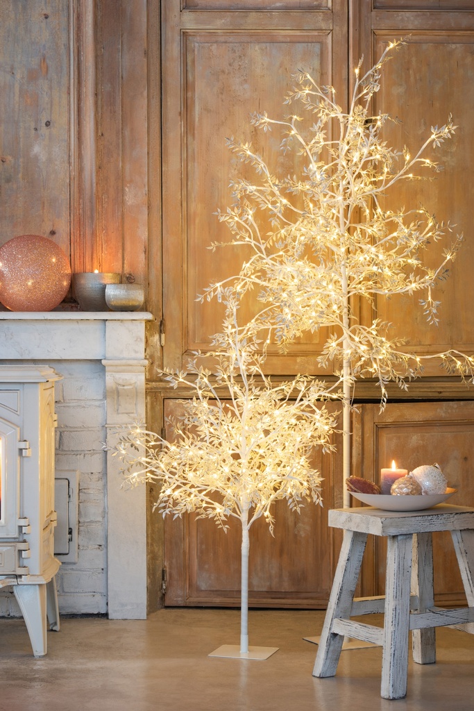 Arbre Blanc Brillo
