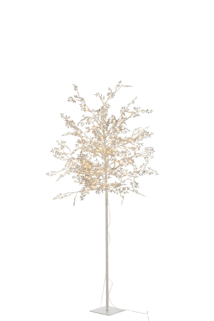 Arbre Blanc Brillo