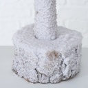 Sapin Blanc Igor