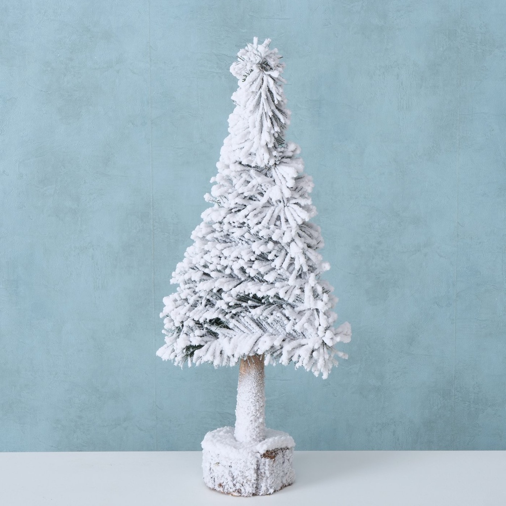 Sapin Blanc Igor