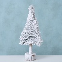 Sapin Blanc Igor
