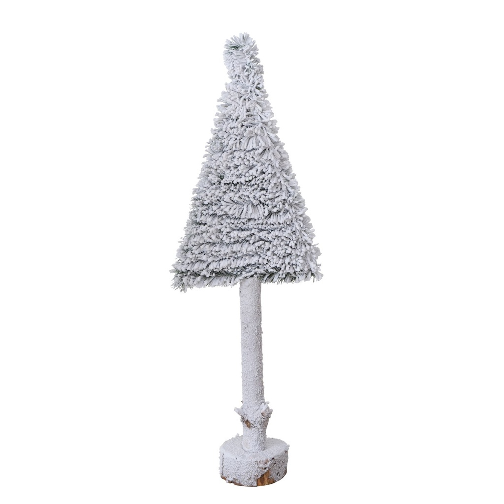 Sapin Blanc Igor