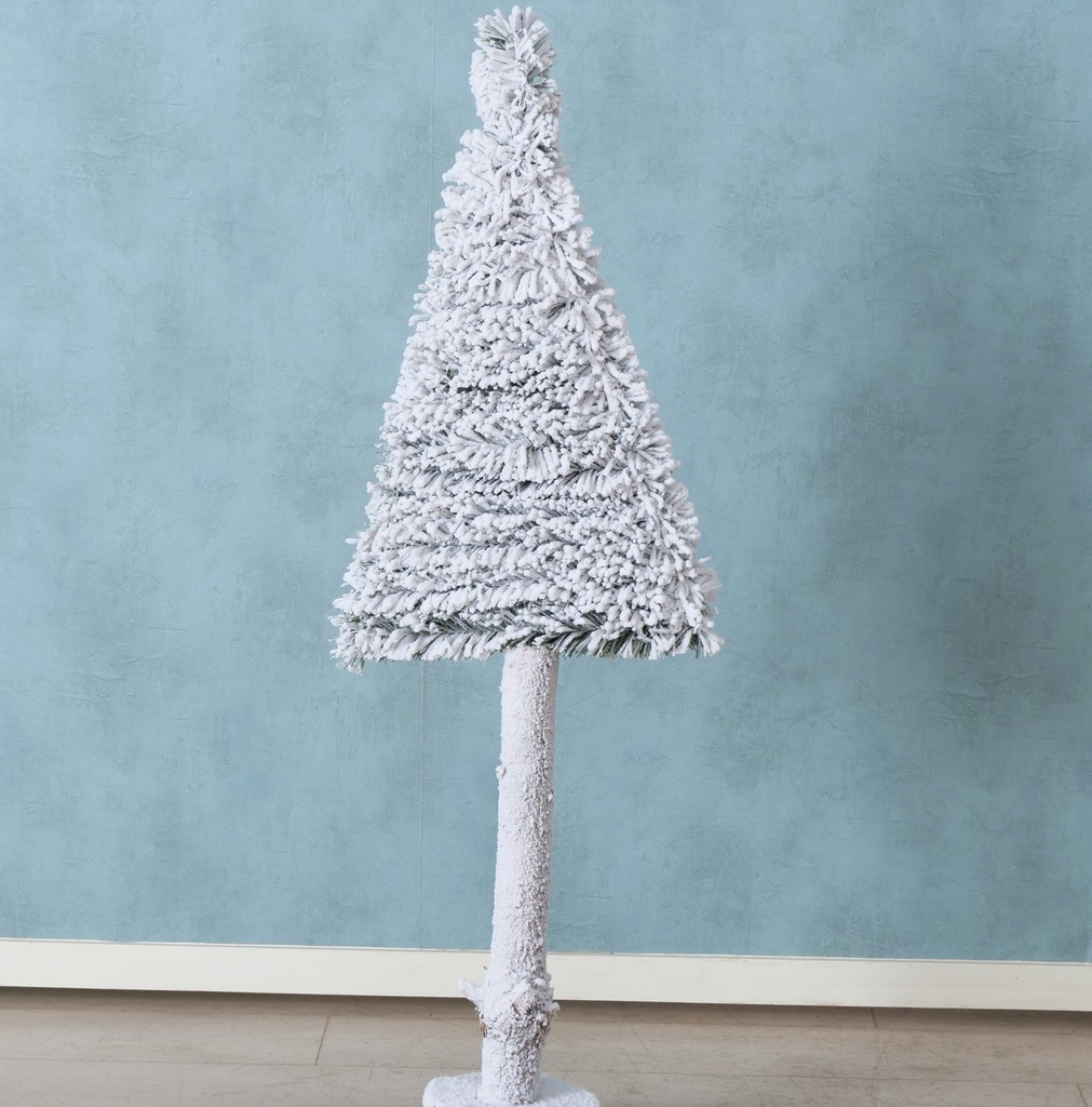 Sapin Blanc Igor