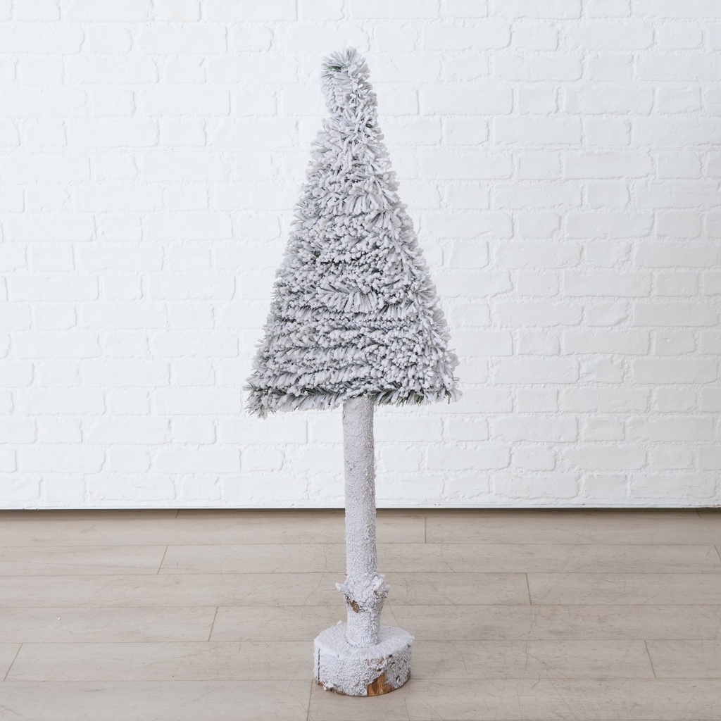 Sapin Blanc Igor