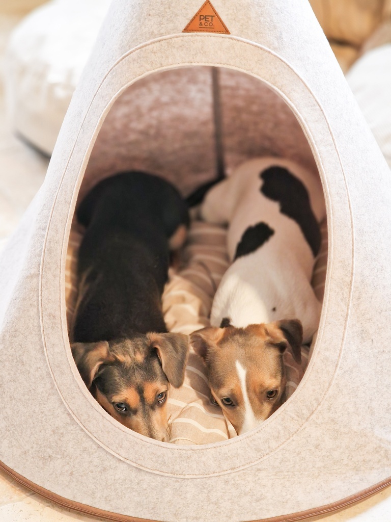 Panier Chien & Chat - Tipi  Côté Coeur Côté Jardin