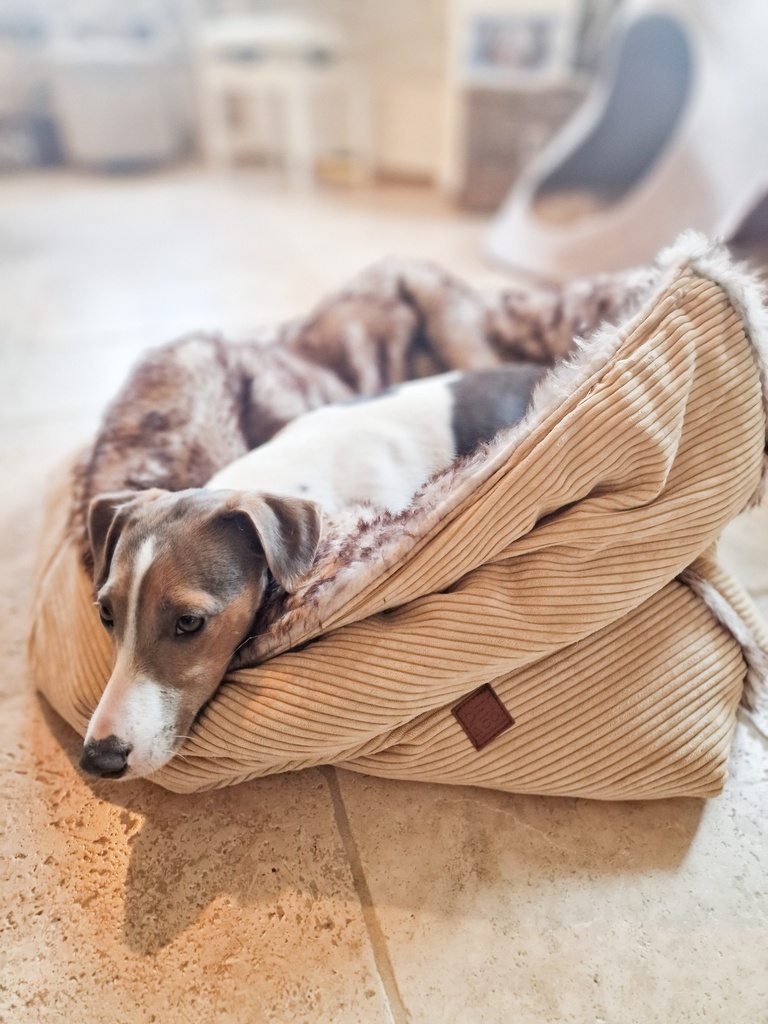 Panier Chien & Chat - Sac Douillet