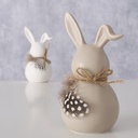 Lapin - Plumes