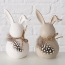Lapin - Plumes