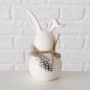 Lapin - Plumes