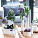 Vase en Porcelaine - Mille Fleurs