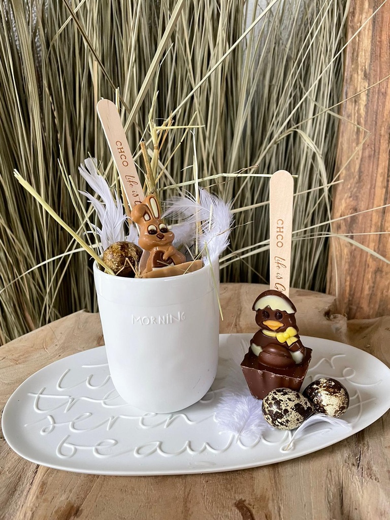 Chocolat Chaud Ducky