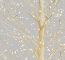 Sapin Blanc - LED
