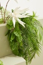 Fleur synthétique - aloe chinensis