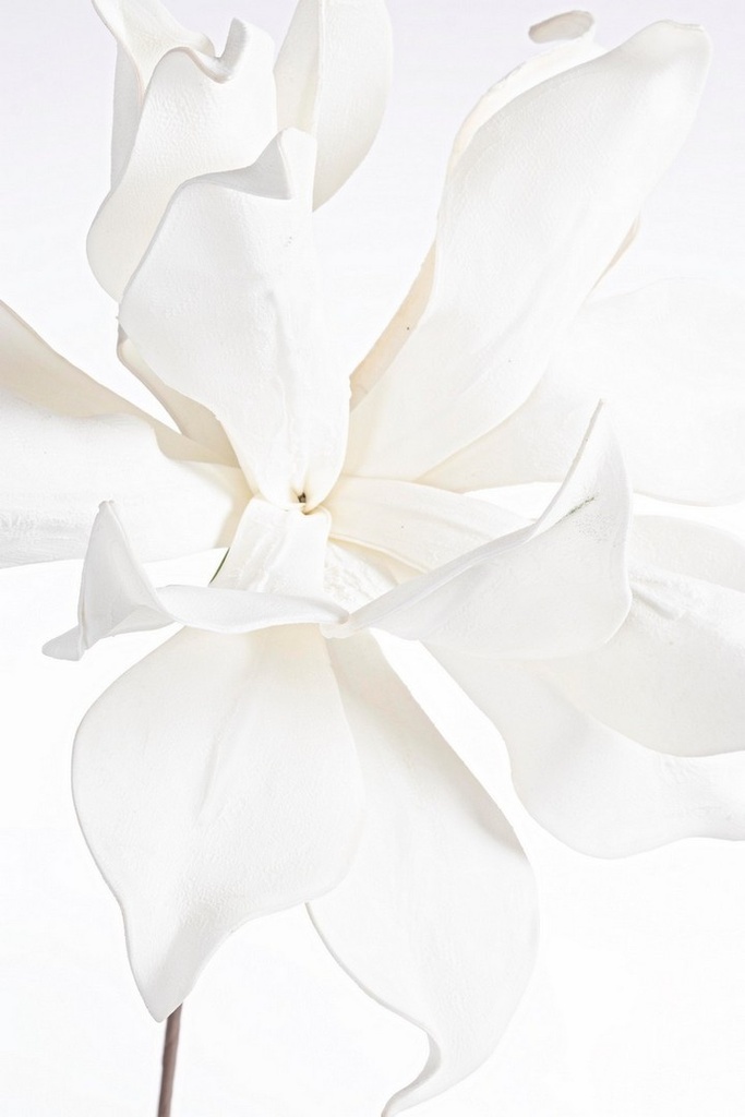 Fleur synthétique - jacinthe d'eau (blanche)