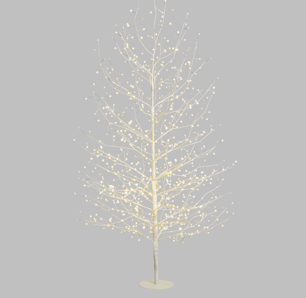 Sapin Blanc - LED