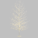 Sapin Blanc - LED