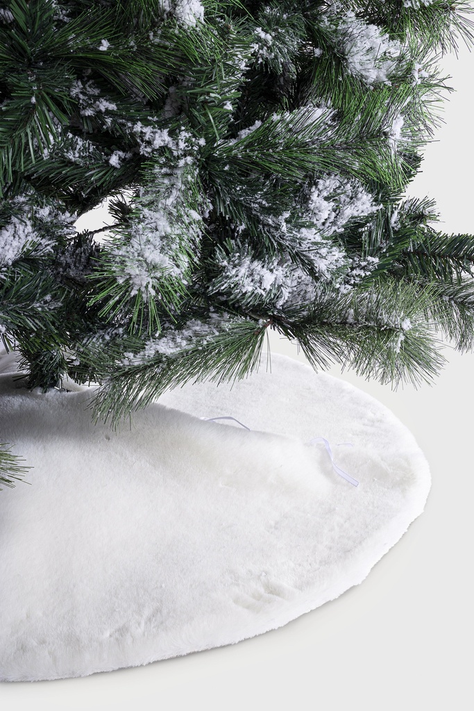 Couverture pour Base de Sapin