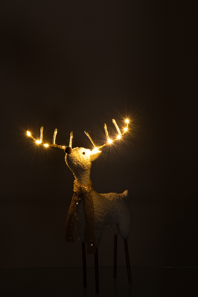 Renne - Foulard LED S