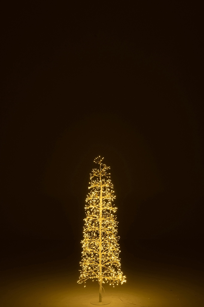 Sapin LED M
