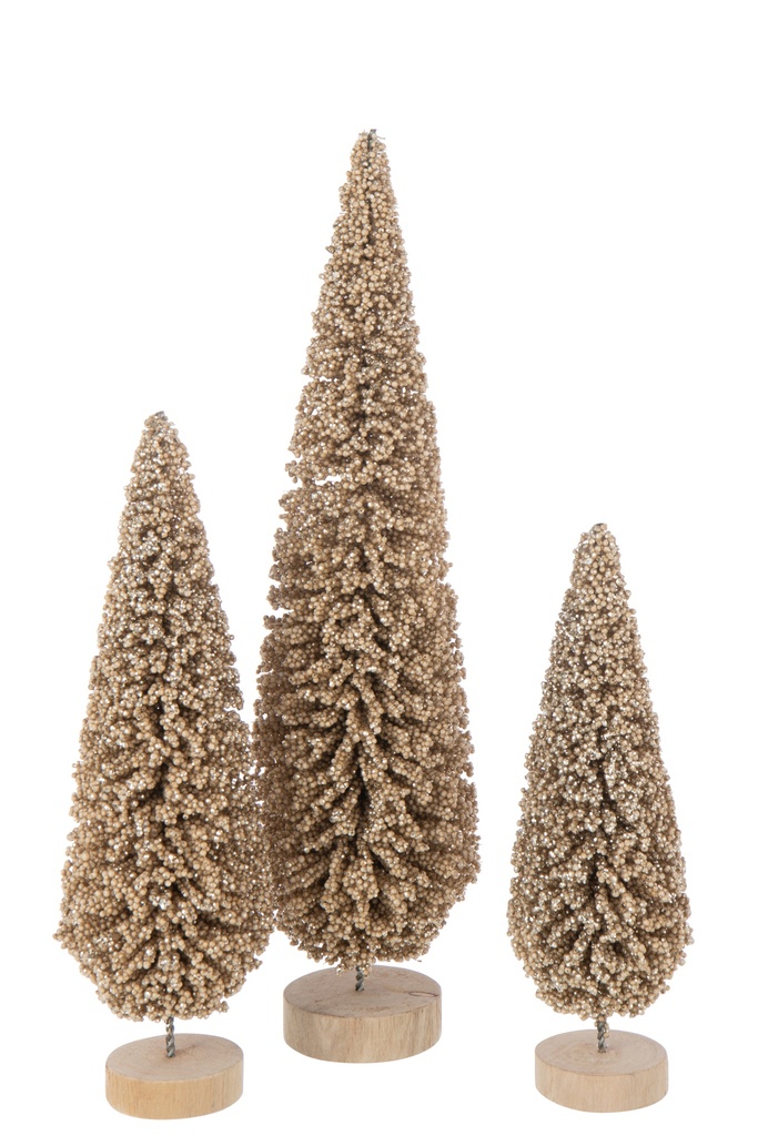 Sapin de Noël - Champagne M