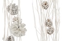 Branche - Pomme de Pin