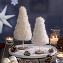 Sapin Blanc - Grand