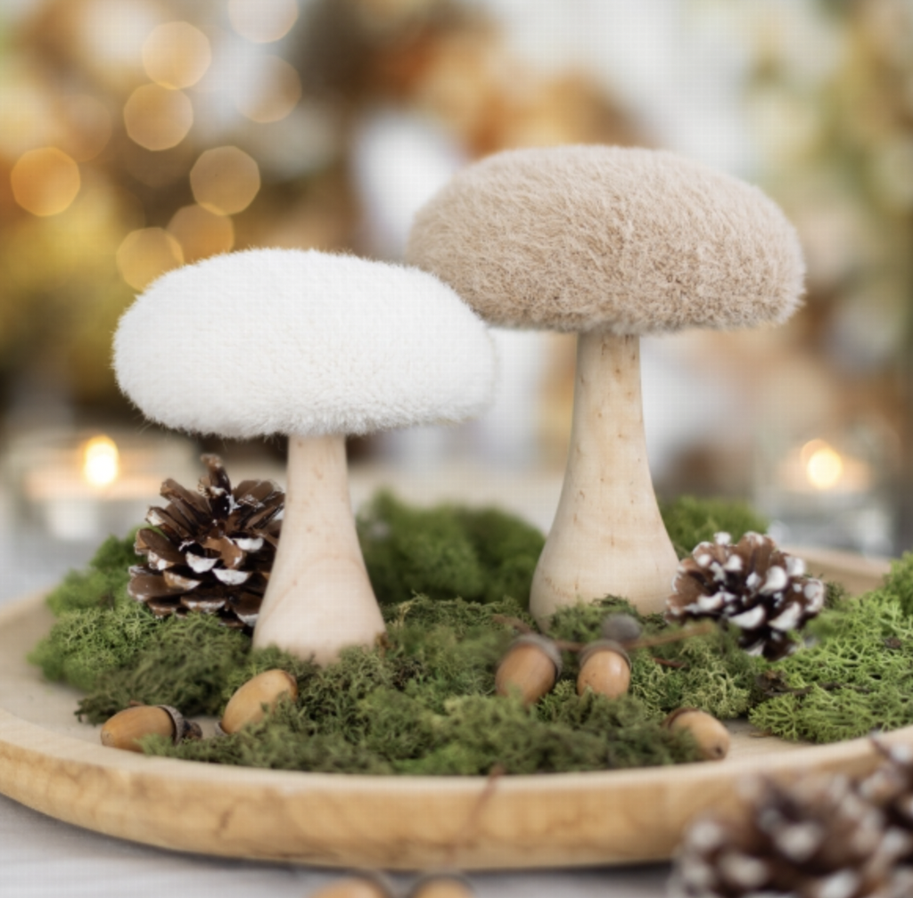 Champignon - Pied Bois