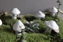 Champignon en Porcelaine - Blanc 