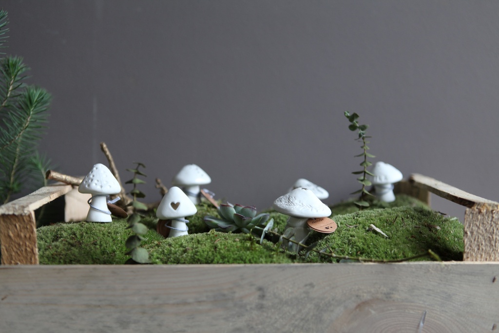 Champignon en Porcelaine - Coeur Or