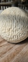 Lampe Solaire - Alba