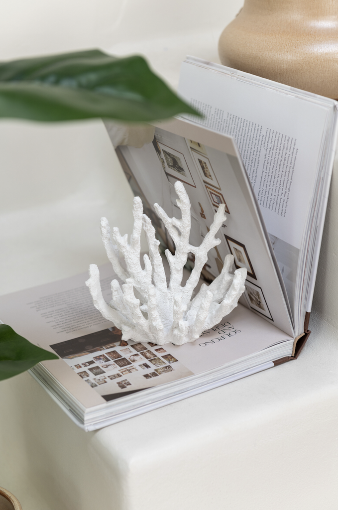 Corail - Blanc (petit)