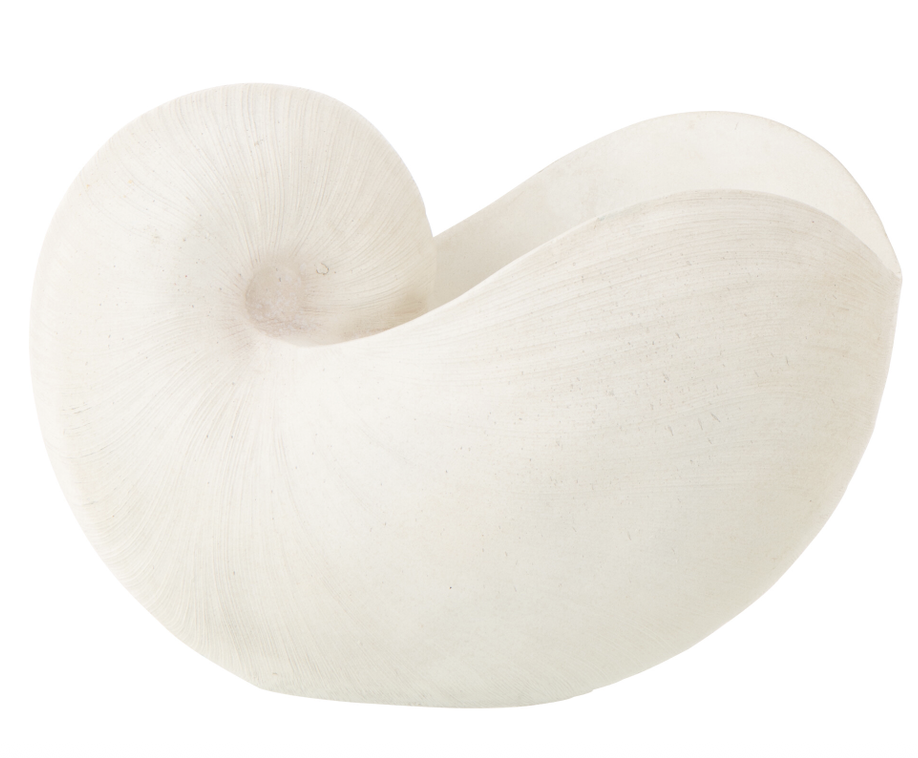 Coquillage en Résine - Blanc