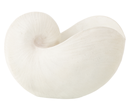 Coquillage en Résine - Blanc