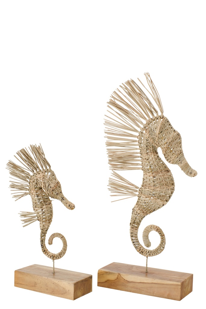 Hippocampe sur Socle - Herbe Naturelle (grand)