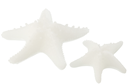 Bougie - Étoile de Mer (petit)