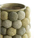 Vase - Oursin