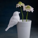 Oiseau en Porcelaine - Spani
