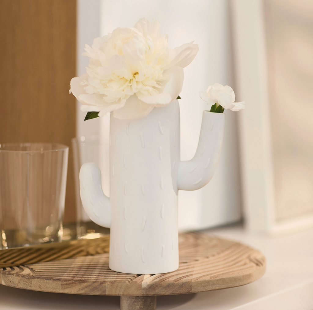 Vase - Cactus