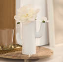 Vase - Cactus