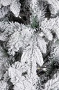 Sapin Artificiel Enneigé - Harvard (180cm)