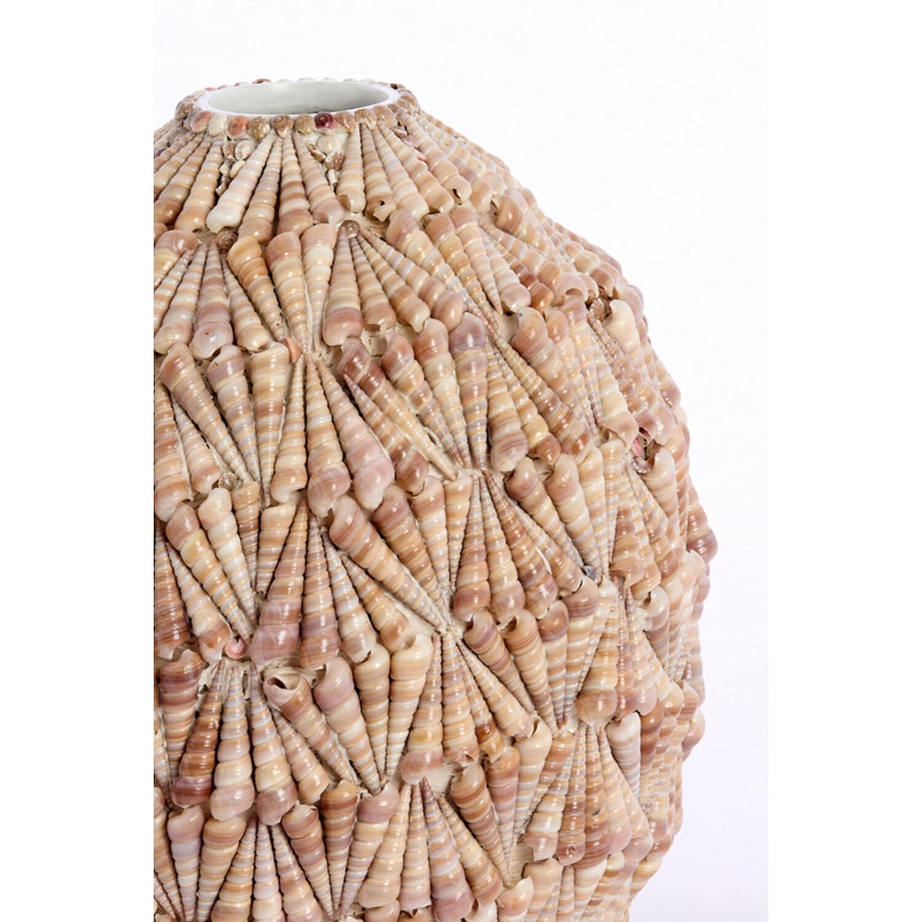 Vase - Shell