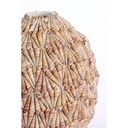 Vase - Shell