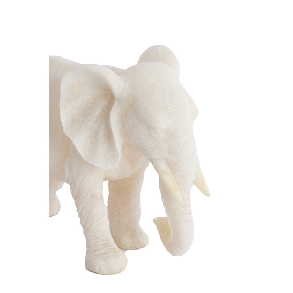 Dumbo l'Éléphant 