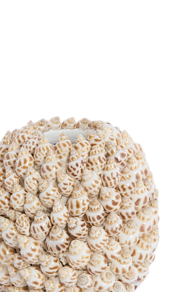 Vase - Shell Spiral (petit)