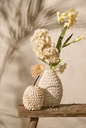 Vase - Shell Spiral (grand)