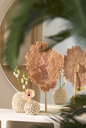 Vase - Shell Spiral (grand)
