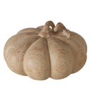 Courge - Auyama (grande)