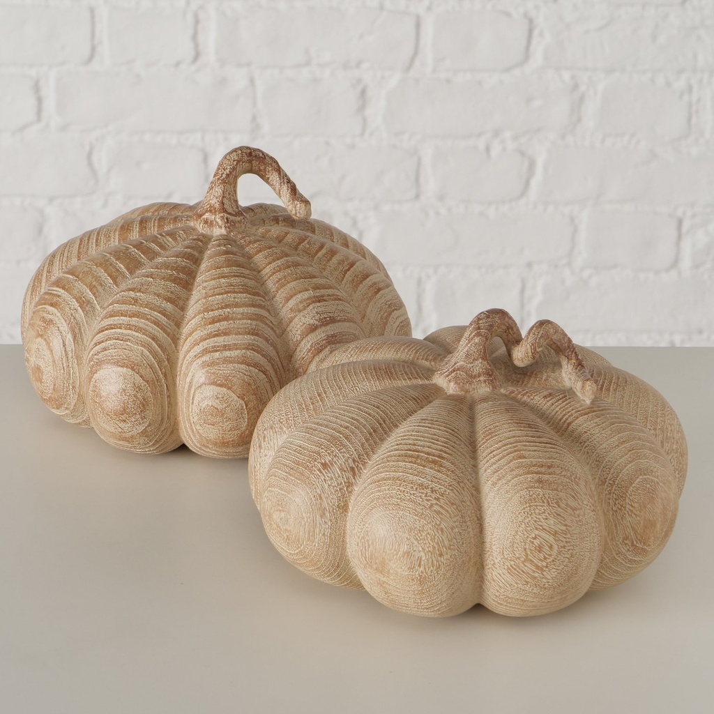 Courge - Auyama (grande)